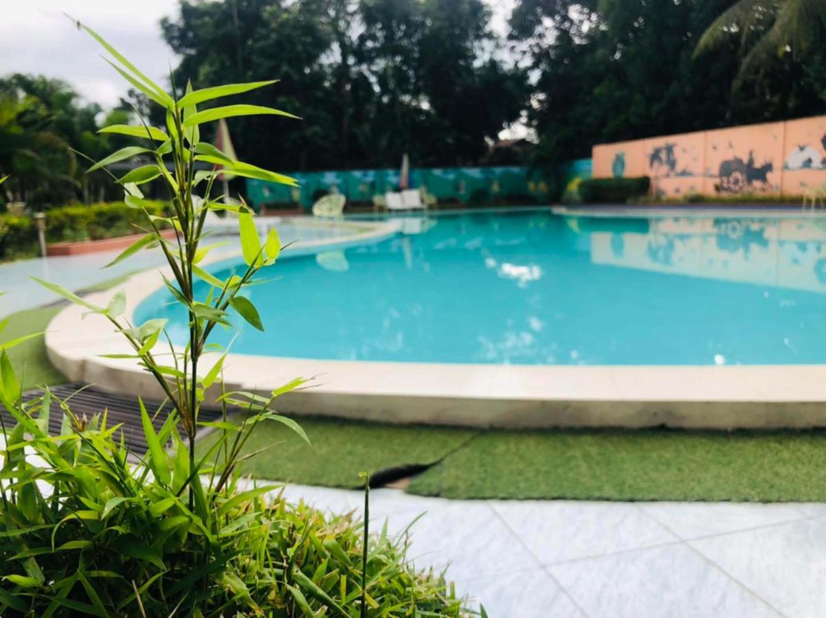 Tea Heaven Resort 斯里曼加尔乌帕齐拉 外观 照片