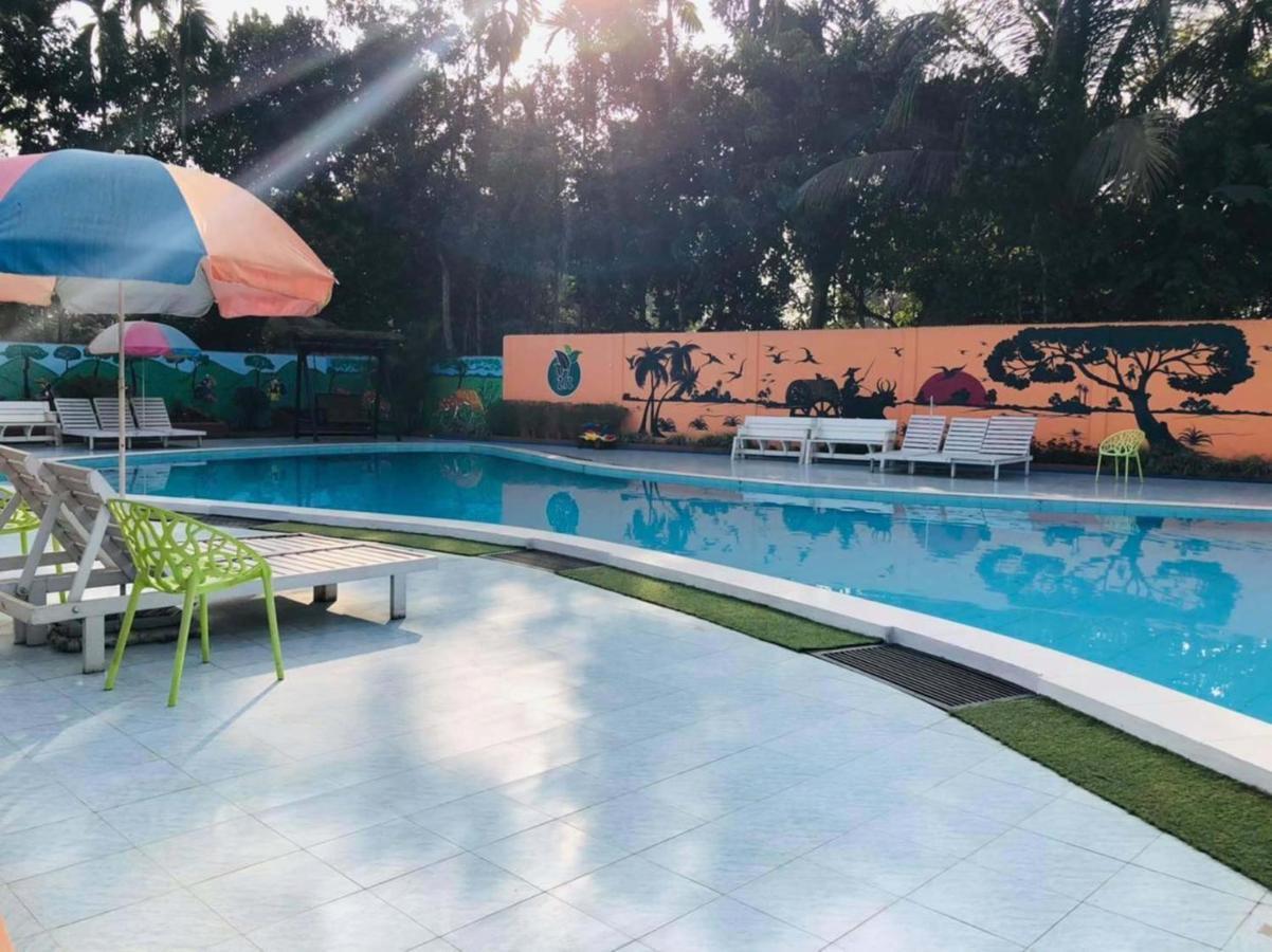 Tea Heaven Resort 斯里曼加尔乌帕齐拉 外观 照片